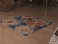 邻居你好，你们交公粮的声音能小一点么！？？